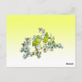 Carte Postale Numéro de tableau Floral Jaune (Dos)