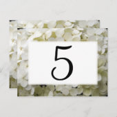 Carte Postale Numéros de tableau blanc des fleurs d'Hydrangée (Devant / Derrière)