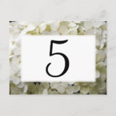 Carte Postale Numéros de tableau blanc des fleurs d'Hydrangée (Dos)