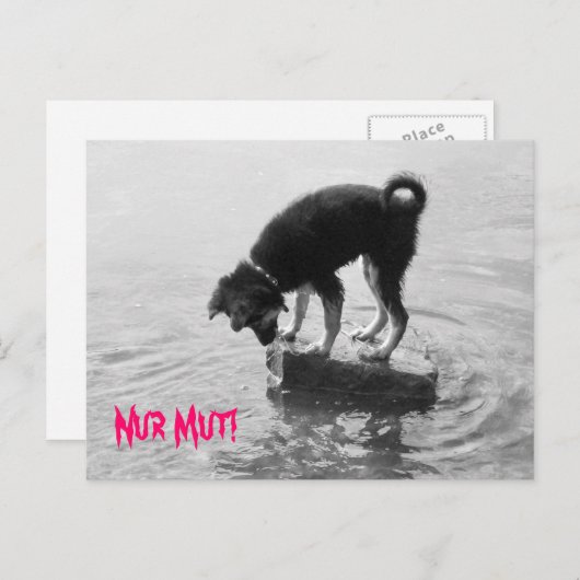 Carte Postale Nur Mut ! (Devant / Derrière)