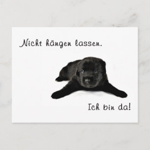 Carte Postale Nur Mut