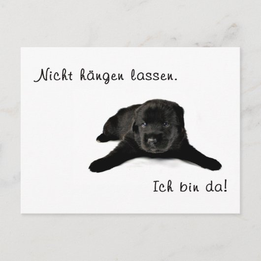 Carte Postale Nur Mut (Devant)
