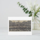 Carte Postale Nursery sur le Schenkweg, Vincent van Gogh (Debout devant)