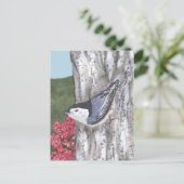 Carte postale Nuthatch à poitrine blanche et Fleur (Debout devant)