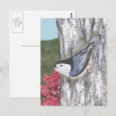 Carte postale Nuthatch à poitrine blanche et Fleur (Devant / Derrière)