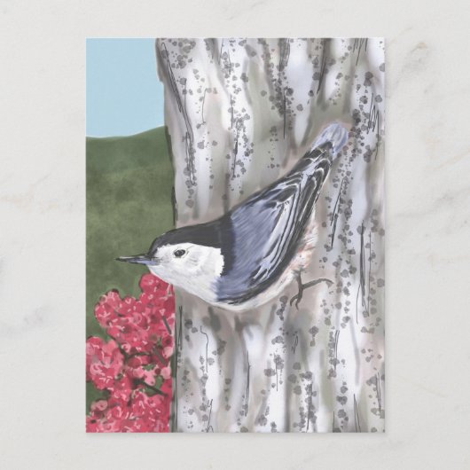 Carte postale Nuthatch à poitrine blanche et Fleur (Devant)