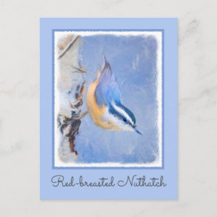Carte Postale Nuthatch à poitrine rouge Peinture d'art original