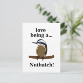Carte Postale Nuthatch Bird Backyard Birder Birdwatcher (Debout devant)