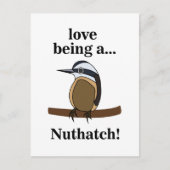 Carte Postale Nuthatch Bird Backyard Birder Birdwatcher (Devant)