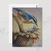 Carte Postale Nuthatch Oiseau et graines de tournesol Aquarelle  (Devant / Derrière)