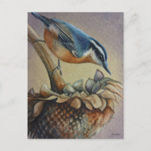 Carte Postale Nuthatch Oiseau et graines de tournesol Aquarelle 