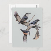Carte Postale Nuthatches rouges et blanches (Devant / Derrière)
