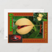 Carte postale Nutmeg (Devant / Derrière)