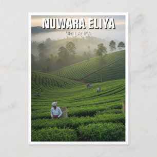 Carte Postale Nuwara Eliya Tea Plantation Sri Lanka