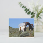 Carte Postale Nuzzling Horses (Debout devant)