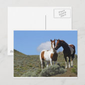 Carte Postale Nuzzling Horses (Devant / Derrière)