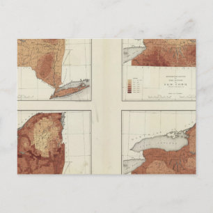 Carte Postale NY pluviométrie, population, altitude, température