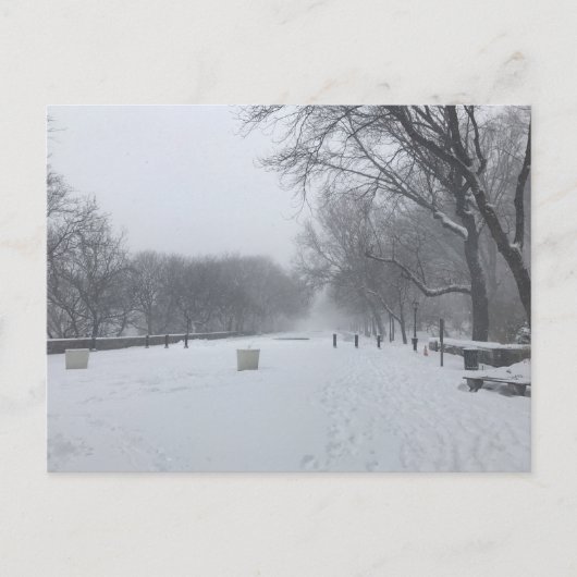 Carte Postale NYC Blizzard Upper West Side Riverside Park Neige (Devant)