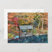 Carte Postale NYC Central Park Automne, Lac & Little Dock (Devant / Derrière)