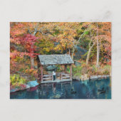 Carte Postale NYC Central Park Automne, Lac & Little Dock (Devant)