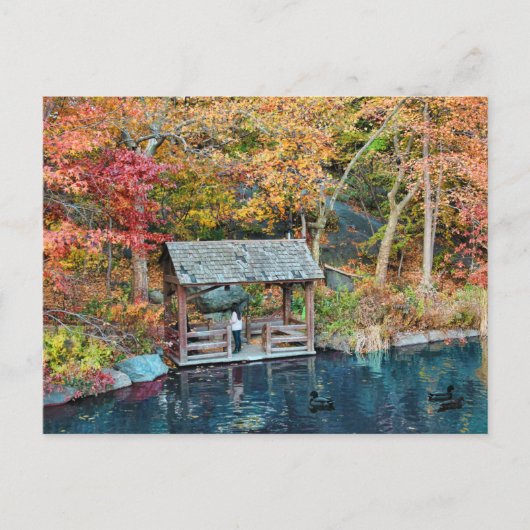 Carte Postale NYC Central Park Automne, Lac & Little Dock (Devant)