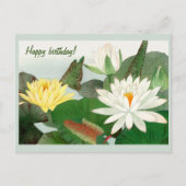 Carte Postale Nymphaea lotus, Joyeux Anniversaire  (Devant)