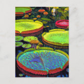 Carte postale Nymphaeales (Devant)