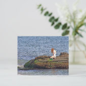 Carte Postale Nymphe de la mer (Debout devant)