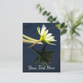 Carte Postale Nymphéa Lotus Blanc (Debout devant)