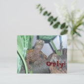 Carte Postale o'rly, O'rly ! (Debout devant)