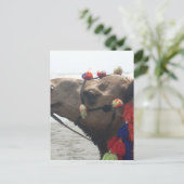 Carte Postale O mec ! Mascate (Debout devant)