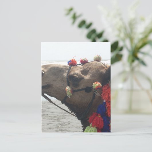 Carte Postale O mec ! Mascate (Debout devant)