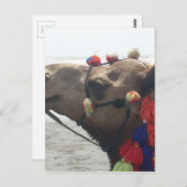 Carte Postale O mec ! Mascate (Devant / Derrière)