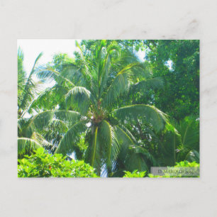 CARTE POSTALE OAHU, HAWAII #17 POSTCARD