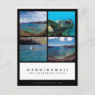 Carte postale Oahu Hawaii Hanauma Bay