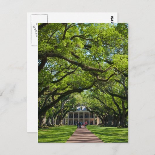 Carte Postale Oak Alley Plantation House (Devant / Derrière)