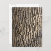 Carte Postale Oak Bark, Aschaffenburg, Franconie, Bavière, (Devant / Derrière)