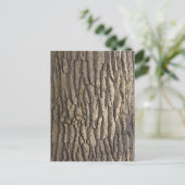 Carte Postale Oak Bark, Aschaffenburg, Franconie, Bavière, (Debout devant)