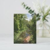 Carte postale Oak Creek 1 (Debout devant)