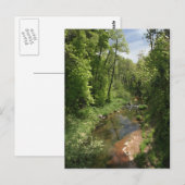 Carte postale Oak Creek 1 (Devant / Derrière)