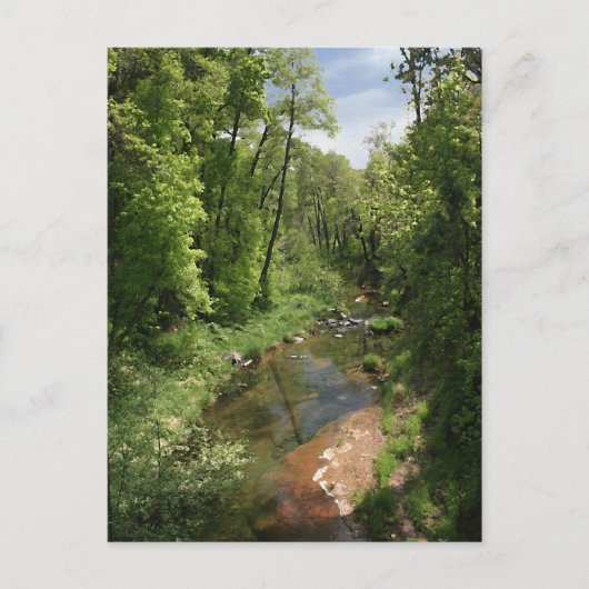 Carte postale Oak Creek 1 (Devant)