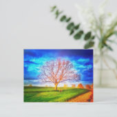 Carte postale Oak Tree (Debout devant)