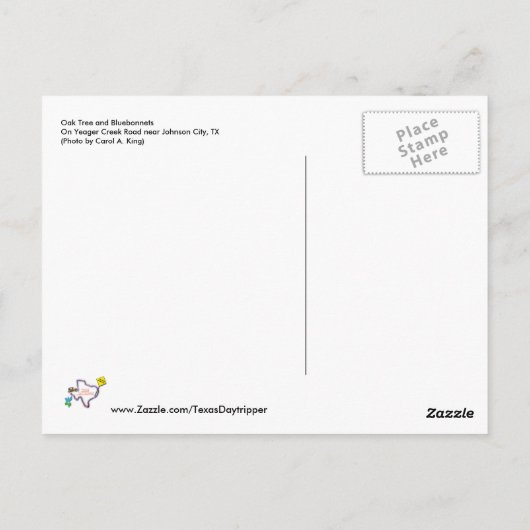 Carte Postale Oak Tree and Bluebonnets near Johnson City (Dos)