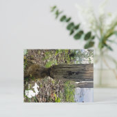 Carte Postale Oakwoods Metropark Beaver Trail avec logo (Debout devant)