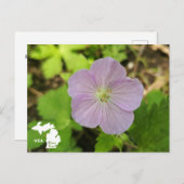 Carte Postale Oakwoods Metropark Wild Geranium avec logo (Devant / Derrière)