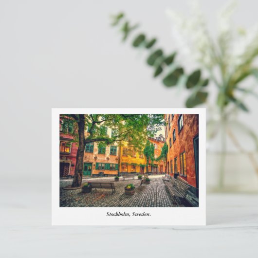 Carte Postale Oasis (Debout devant)