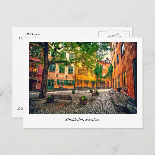 Carte Postale Oasis (Devant / Derrière)