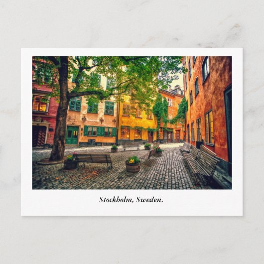 Carte Postale Oasis (Devant)