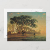 Carte Postale Oasis arabe, 1853 (Devant / Derrière)