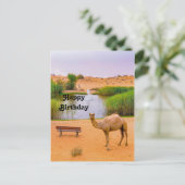 Carte Postale Oasis de chameaux Photo Anniversaire faune (Debout devant)